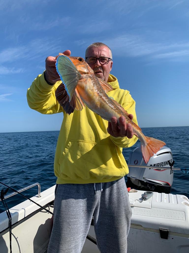 Saltwater Angling Media tweet media