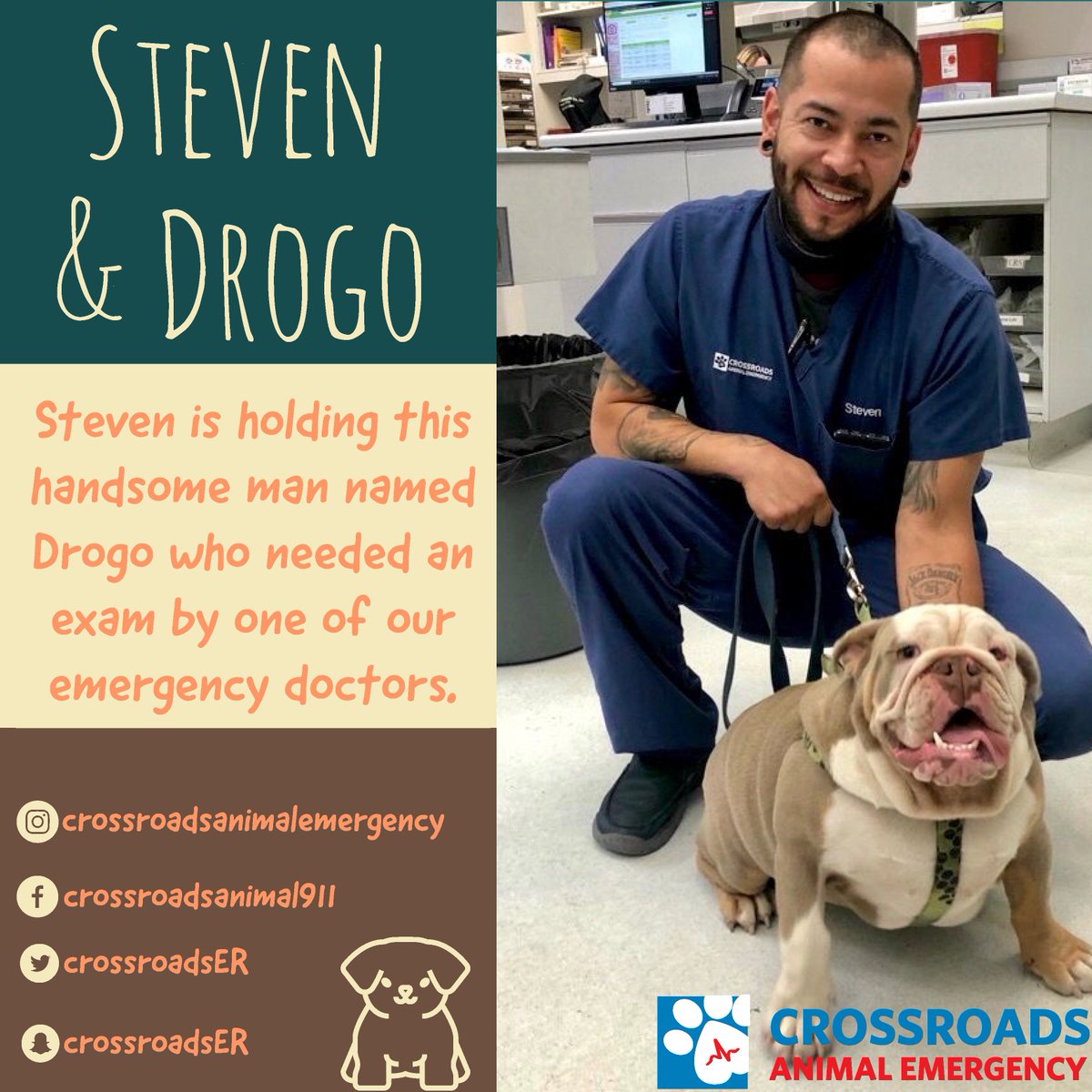 CrossroadsER's tweet photo. Steven has been with Crossroads for quite some time as a very experienced technician. Steven, thank you for everything you do and taking care of the animals one paw at a time!
#animal #animalhospital #animaler #animals #dogs #cats #crossroads #crossroadsER #SuperSteven https://t.co/mCJcokhf14