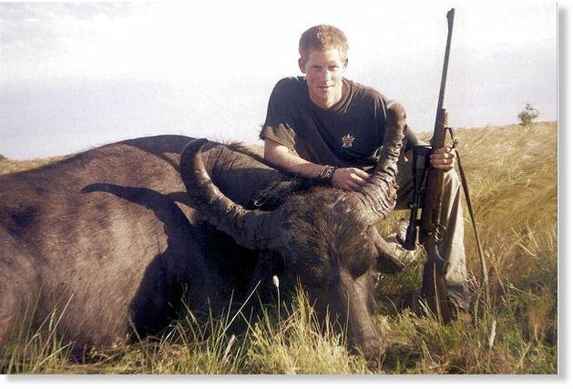 bobdanob's tweet photo. @NightMa40537319 @czeszel_dolores @phil86537482 @DonaldJTrumpJr @realDonaldTrump Both Harry and William hunt https://t.co/GEQDxgADcu