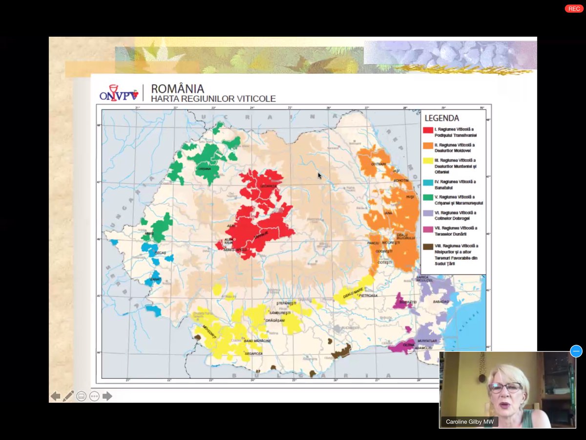 JustinKeay's tweet image. Interesting @mastersofwine Romania webinar today says wine industry needs to make wines with more character/individuality, boost regionality and local varieties if it wants to boost exports. Feteasca varieties the way forward @CrameleRecasEU #stirbey #Avincis @TheBuyer11