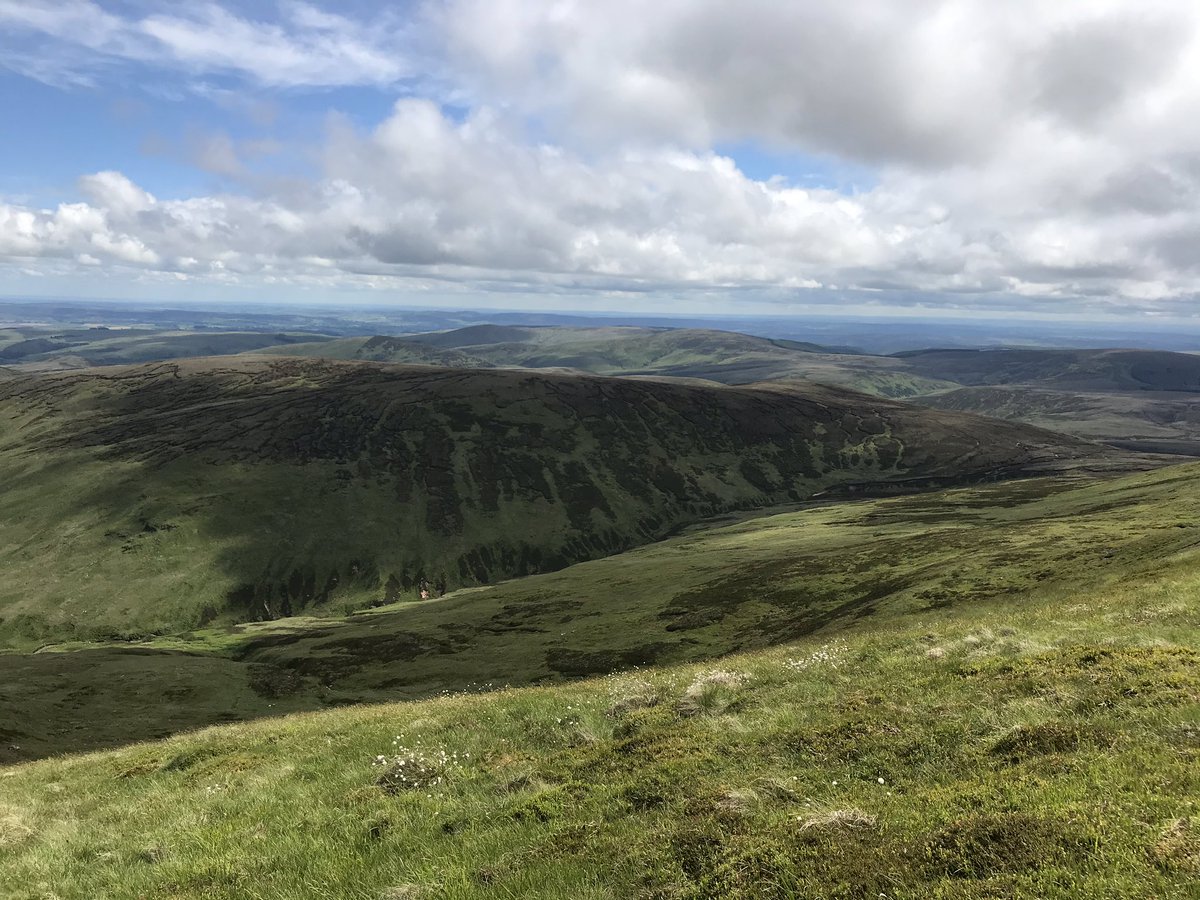 LikeOldTat's tweet photo. Stunning #Northumberland #TheCheviot and the #RowanTree today https://t.co/j5A5jHbRSQ