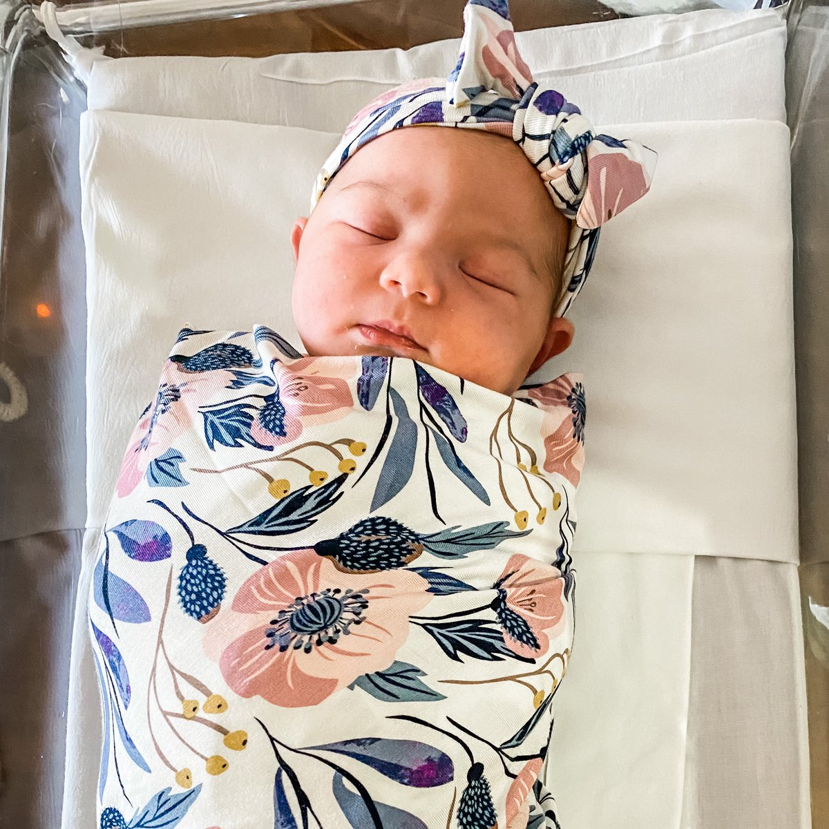 Mike Dupree tweet media