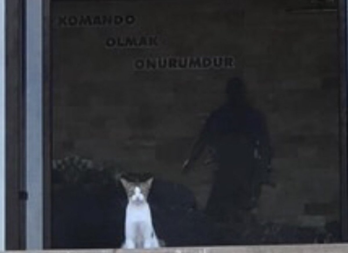 Görevimizin basındayız...