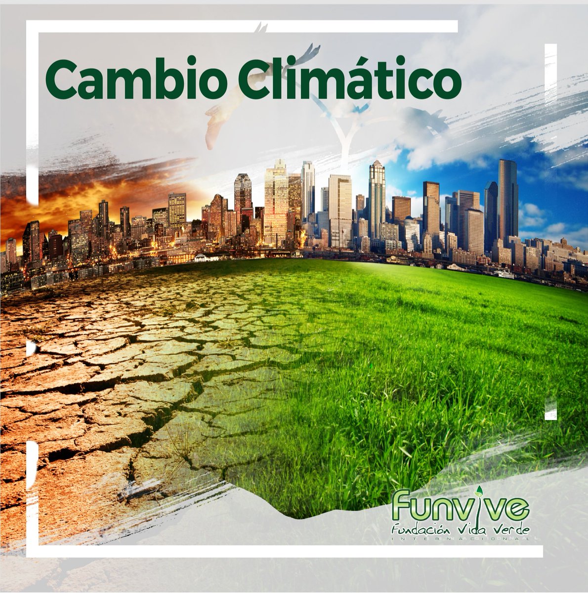 Fundacion Vida Verde (FUNVIVE) tweet media