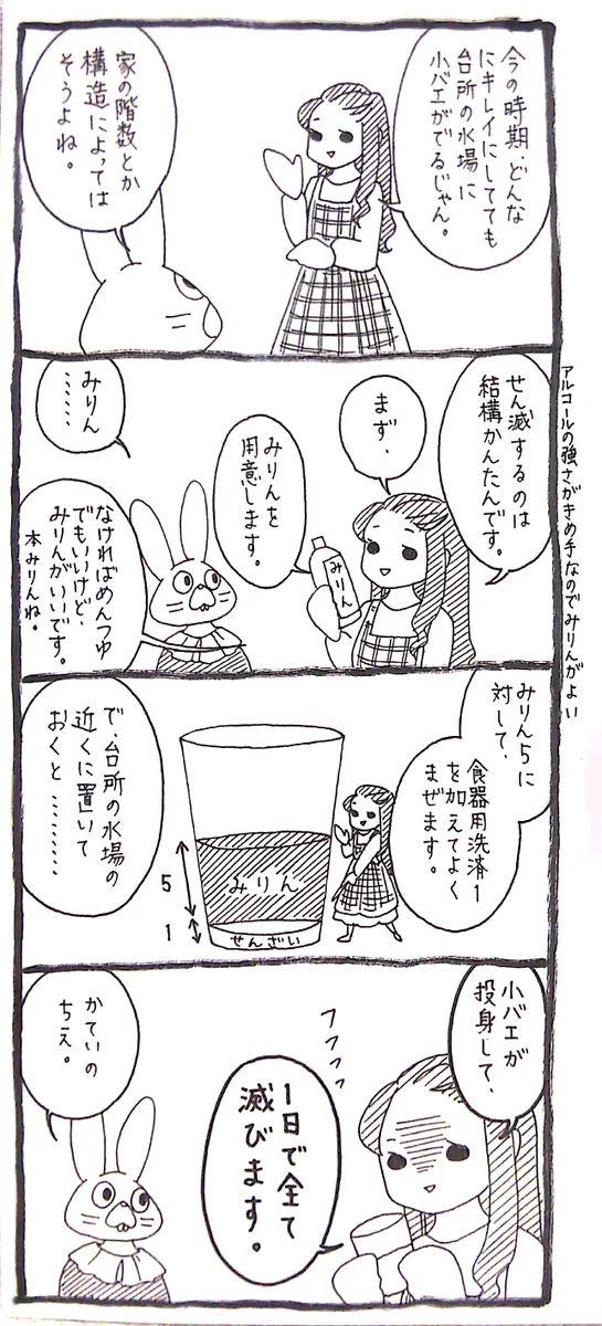 【生活の知恵】台所のコバエをたった１日で全滅させる方法とは！？