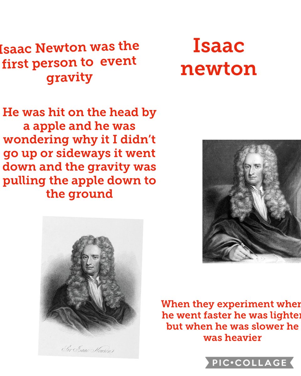 AlvertonCOR's tweet photo. Our English was our Science today! Trees, apples and gravity feature heavily! @alvertonschool https://t.co/vgzyKANfy6