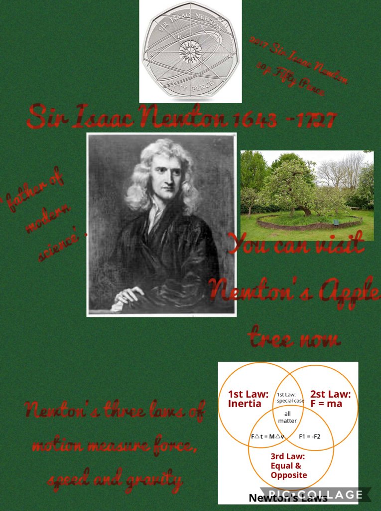 AlvertonCOR's tweet photo. Our English was our Science today! Trees, apples and gravity feature heavily! @alvertonschool https://t.co/vgzyKANfy6