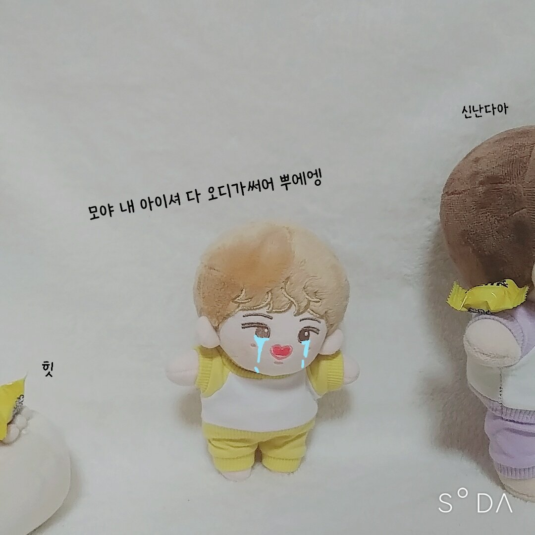 눈 뜨고 #애기만두 에게 코배인 #꿀빵우니 😅
뜻 밖에 이득 본 #갈플랙 😆 저희집 #솜뭉치 들은 항상 이런식이죠..😂