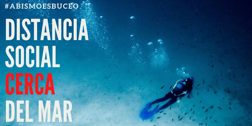 AbismoEsBuceo's tweet photo. Escapa de la ciudad y vive la belleza de la naturaleza. Pregunta por nuestros viajes

#abismoesbuce #Buceo #Dive #DiveIsFun #Travel #Viajes https://t.co/9ttCnVoydt