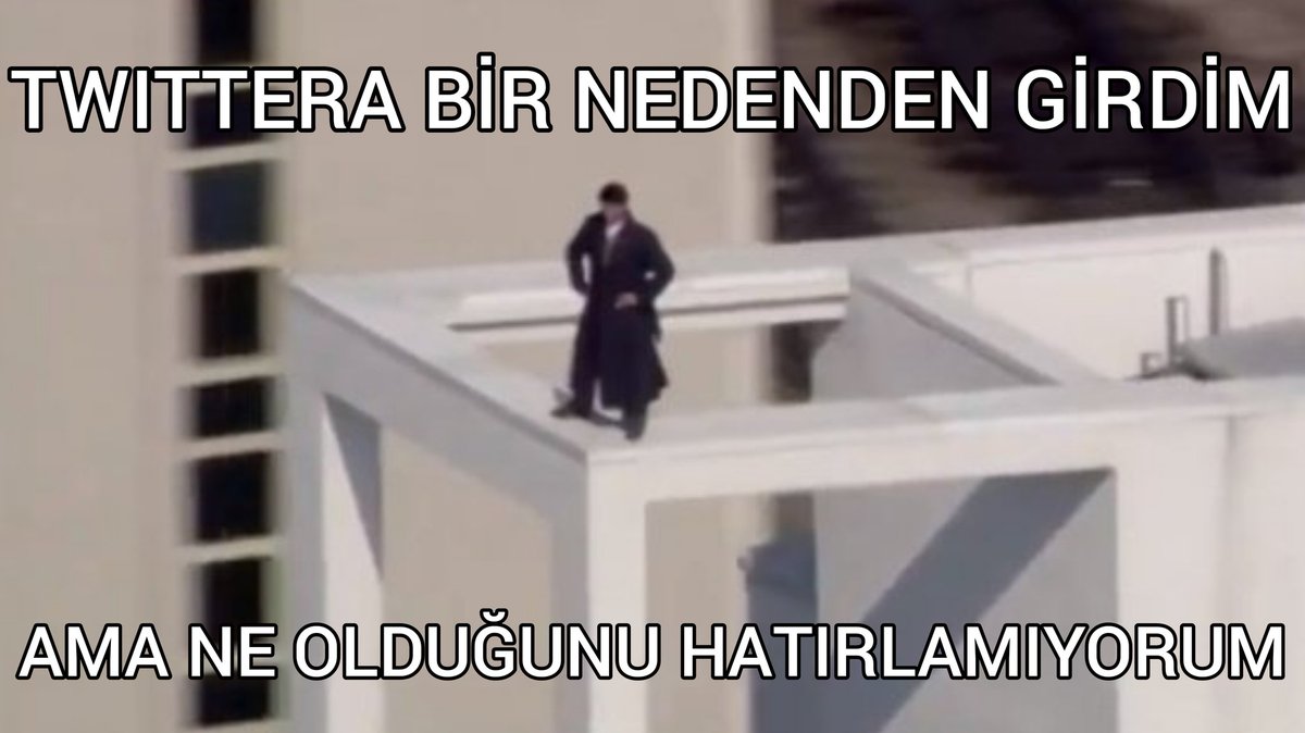 Venkman the Frog ⓸ tweet media