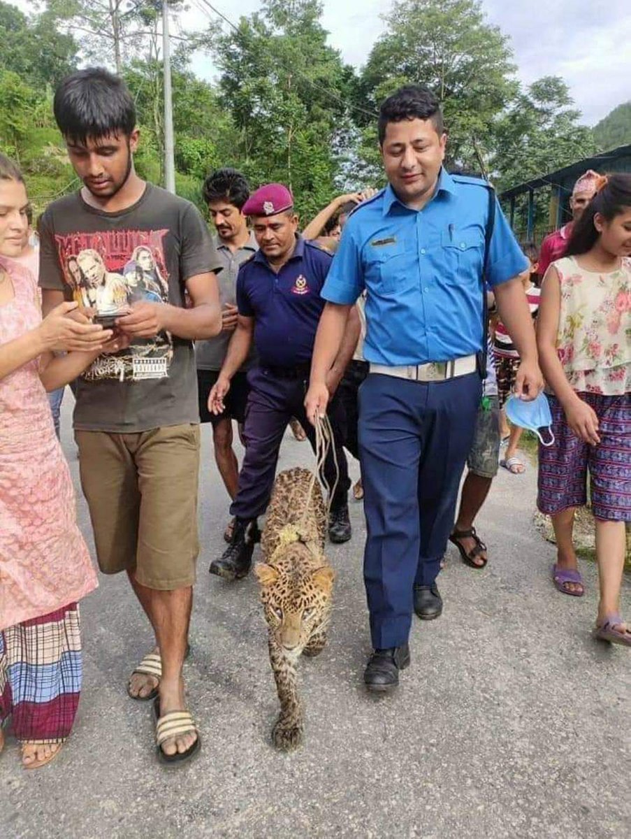 Traffic Police be Like:
कत्ती छोपेको गाडी डोर्‍याउने अब तेरो दाइ चितुवा डोर्‍याउछ।😂😂