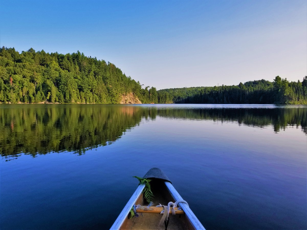 CanadaInvasives's tweet photo. Campgrounds and parks are opening in some areas in the country - ️Remember to recreate responsibly!  

🎣 Clean Drain Dry - your boat and fishing gear
👞 Play Clean Go - by wiping off your shoes, clothes, pets and gear
🔥 Buy Local Burn Local - firewood

https://t.co/6oBbXGRr7F https://t.co/vQfbdrOq2b
