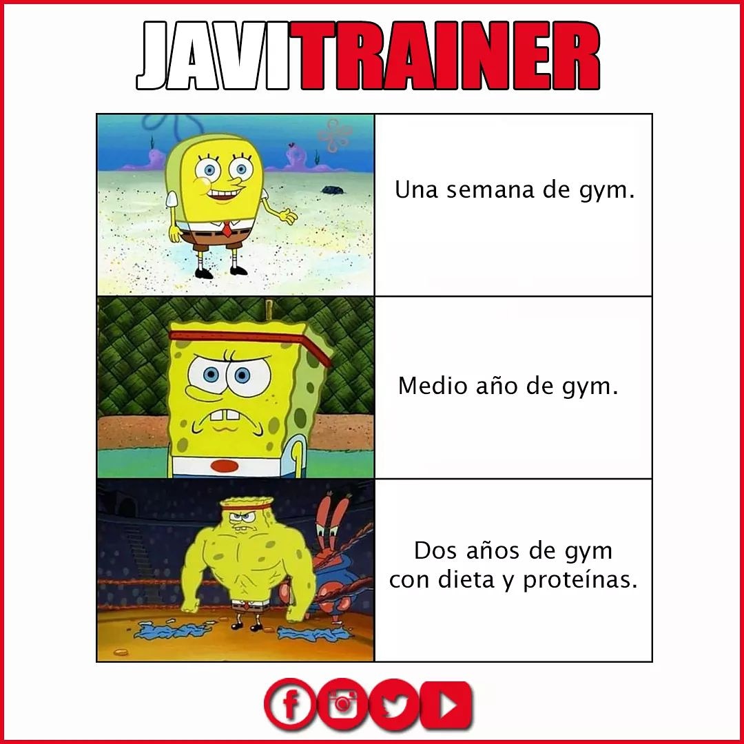 JAVITRAINER's tweet photo. ▶️ https://t.co/grWzTB5DeU #BuenosDias #Bogota #Motivacion #Memes #humor #FelizMartes #fit #javitrainer https://t.co/VDzr9Sf7LB