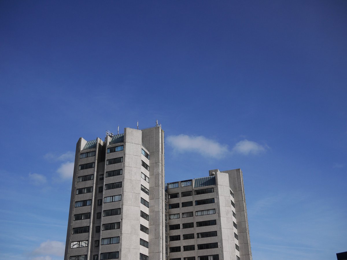 This Brutal House tweet media