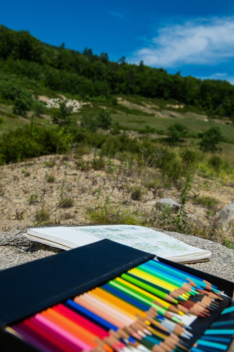 Nature_NH's tweet photo. What draws you to nature? There are so many ways to bring your pride into the outdoors. Show your #PrideInNature today! Always remember to #BeSafeBeWellBeLocal and #RecreateResponsibly. (📸: Joe Klementovich @klementovich) https://t.co/ZAgjoNgTDA