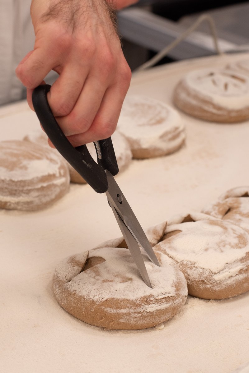 Alma_School's tweet photo. Anche il corso di Panificazione Moderna ufficialmente al lavoro!
@Alma_School #bread #bakerychef https://t.co/Ihmfe8pov0