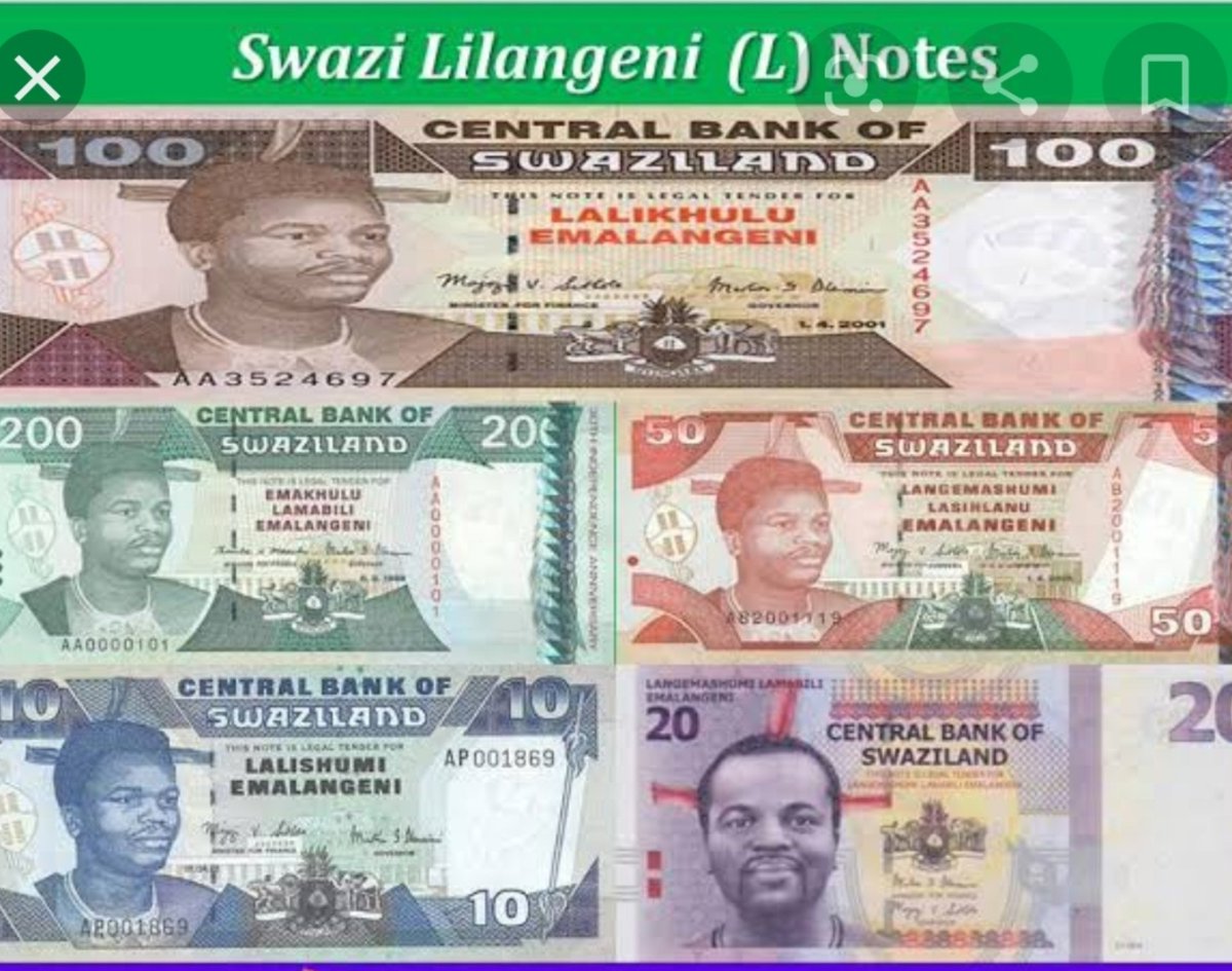 Theodor Crouse tweet media