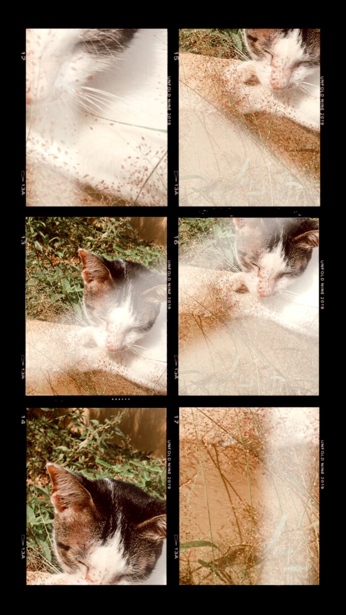 shellashndyt's tweet photo. ala ala gitu😺♥️ https://t.co/mXPo33gBWG