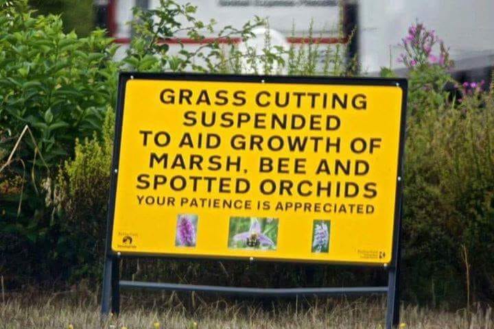 #RotherhamCouncil I salute you.  Where you lead, may other local authorities follow.
#BBKA  #savethebees  #pollinators