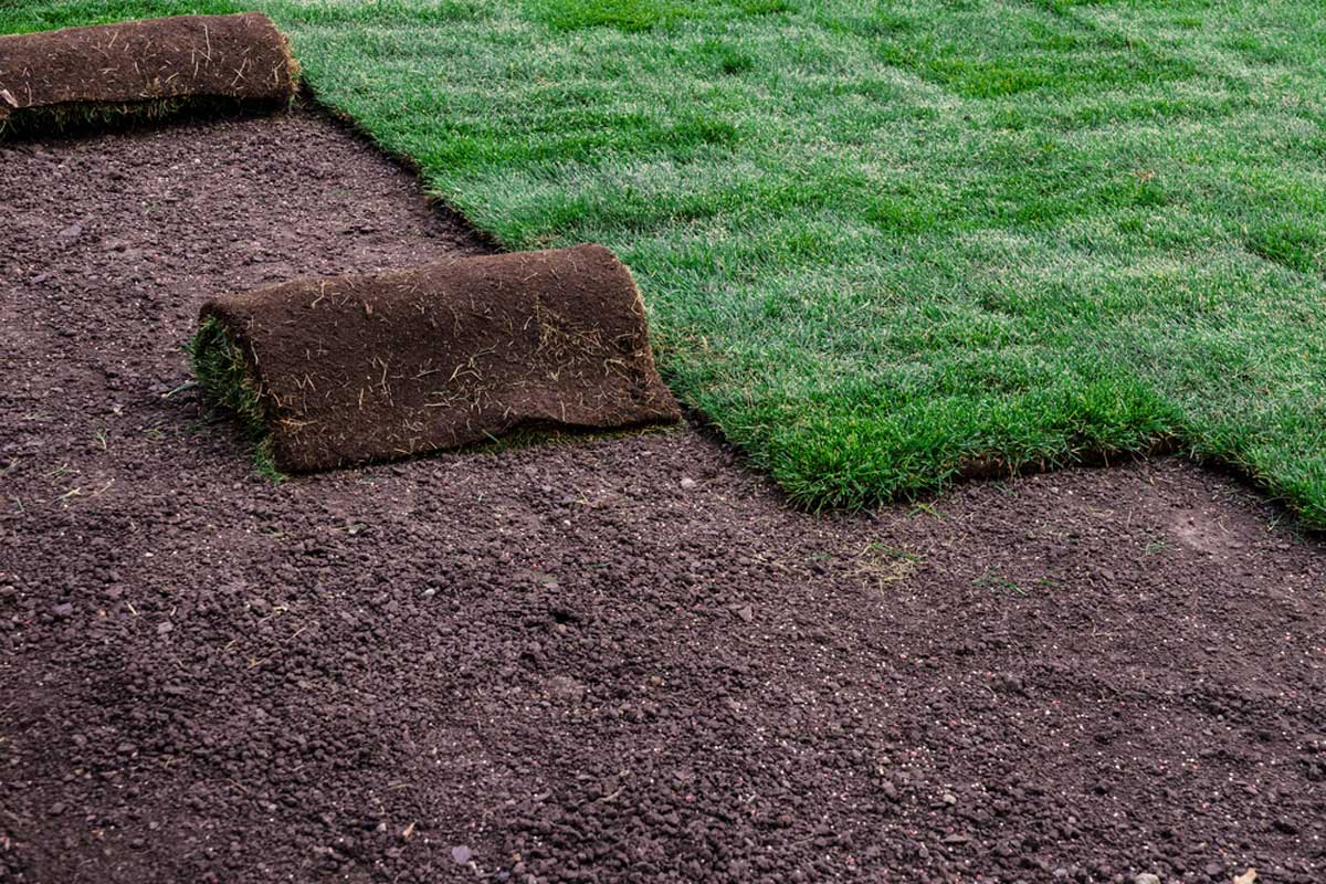 CooperLawnscape's tweet photo. Sometimes your lawn just needs a complete makeover. We provide top-rated sod installation services that will have your lawn looking brand new.
#TipTuesday https://t.co/hzs0JCQnIl