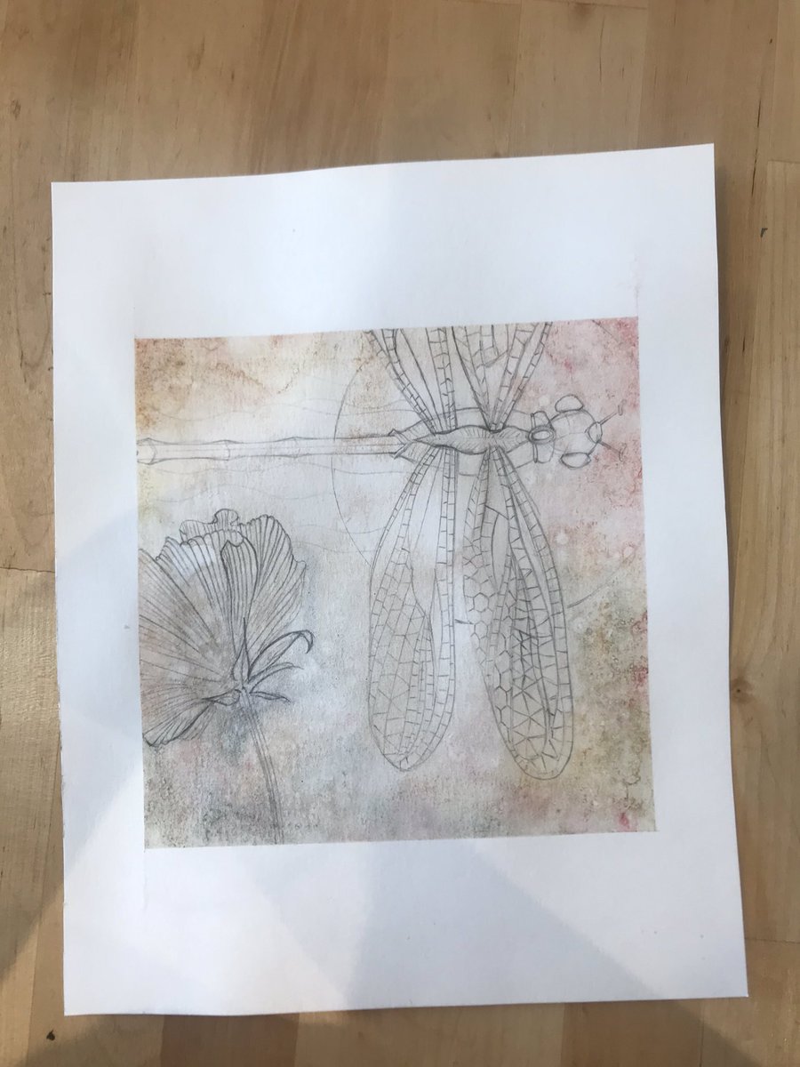 L_Jennings117's tweet photo. Dragonfly painting day 1: The wings have been the biggest challenge by far! Finished piece to follow (if I get there) #dragonflyart #insects #complexpatterns https://t.co/6nZ2RdKEyU