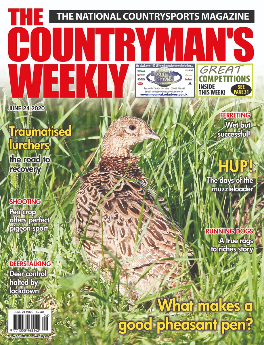 NEW ISSUE hits the shops tomorrow!
Don't miss some great countrysports reading and two new competitions... order a copy online shop.countrymansweekly.com/issue/view/iss… - and have it posted straight to your door (FREE UK p&amp;p)