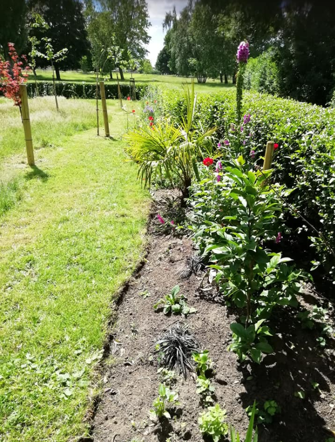 SandallPark's tweet photo. The #QuietGarden is proving a haven for people who want to take time out in peace &amp; tranquility, even a family of frogs love it.🐸🐸 @MyDoncaster @VisitDoncaster #MentalHealthMatters #Carinisawesome @KTPractice @LeedsBuilding @sandallparkrun @Doncaster_Place @GreenFlagAward https://t.co/39851Z1ezV