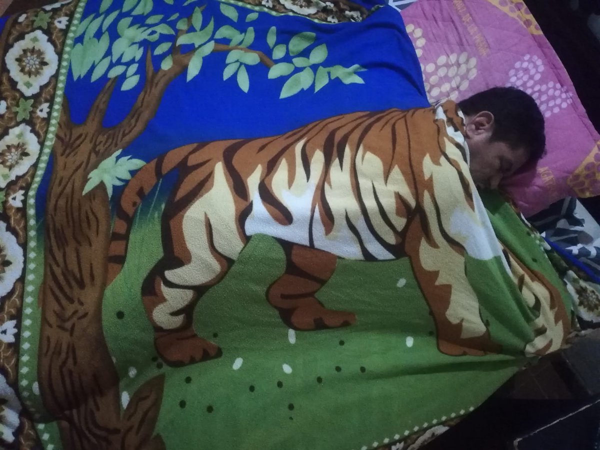 soy todo un animal en la cama