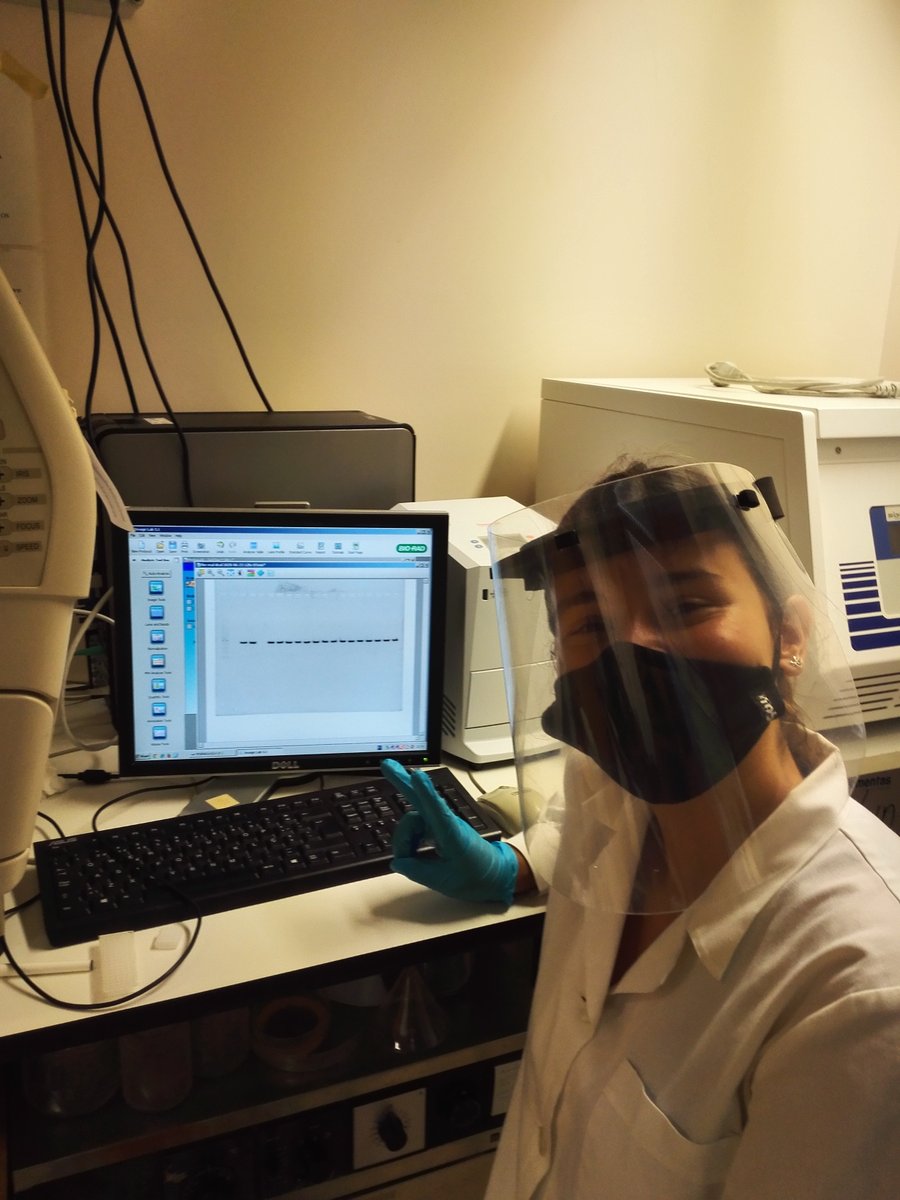Plant Cell Biotechnology Laboratory tweet media