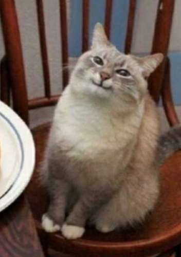 SillyBones tweet media