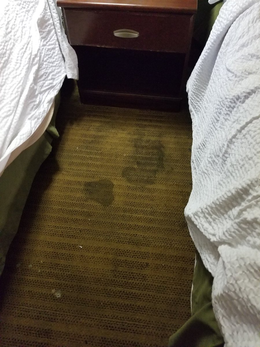 NubiancebB's tweet photo. @ExtendedStay
Filthy rooms. Atrocious svc. We spent an hour+just trying to get the room keys. It's past midnight. No one was in the office nor answering the phone. Early in the morning, men come in checking water sprinklers...then 2 random chicks told us we have to check out. https://t.co/ktdEq0y6Gj