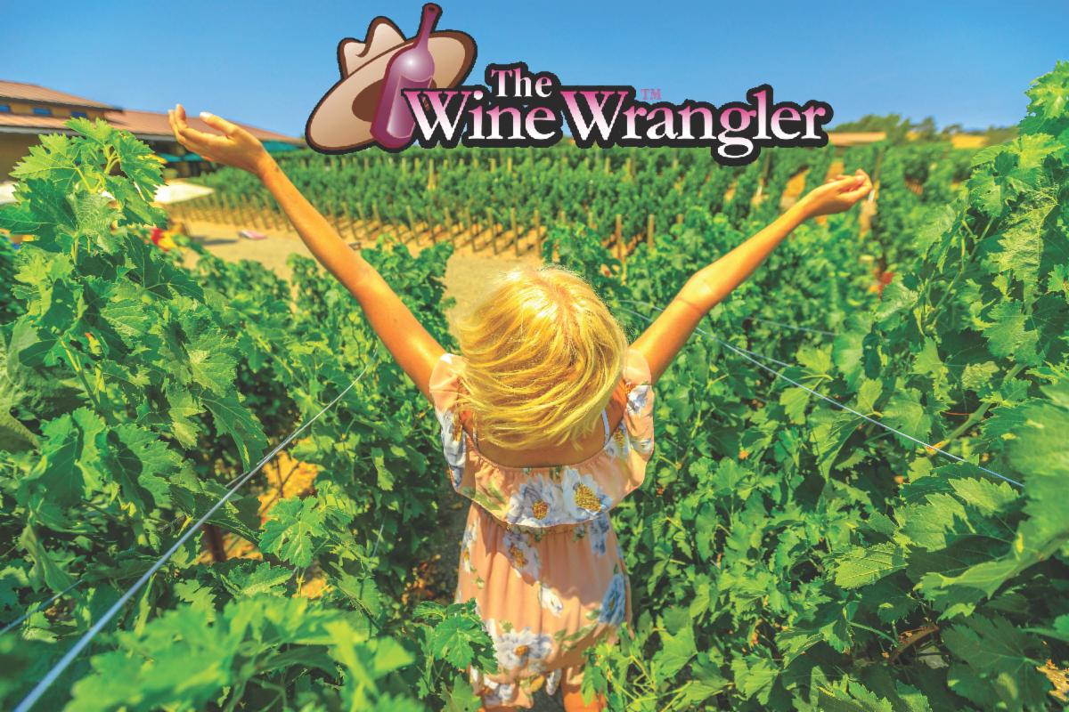 The Wine Wrangler tweet media