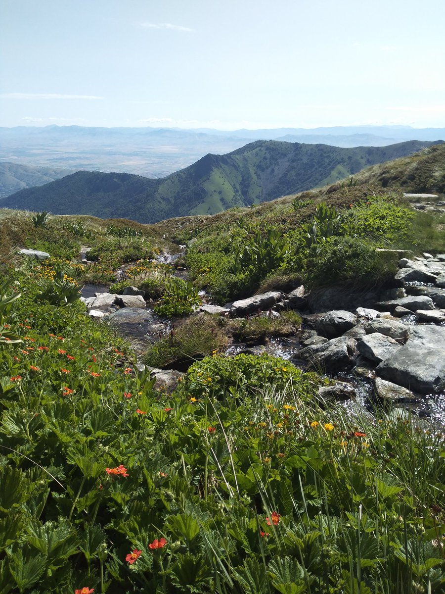 Не е Швајцарија, Пелистер е...