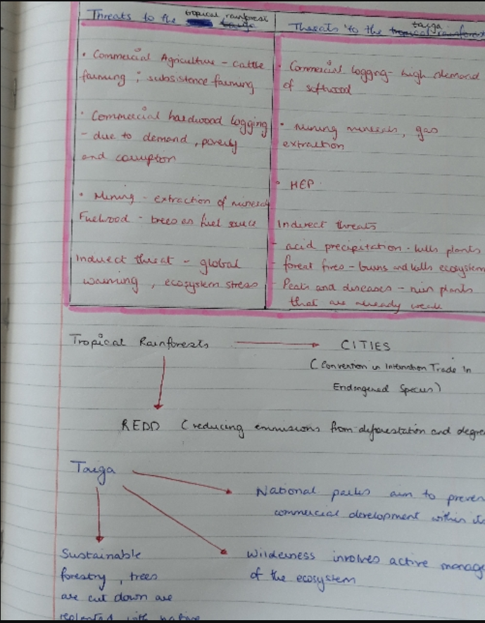 GeogHurlingham's tweet photo. Year 9 continue to revise for their upcoming assessment on biomes. Lovely examples here from Arya and Danna - well done! @TheHurlinghamAc #homelearning #studentwork #Year9 #biomes #ecosystems #tropicalrainforest #taiga #revision https://t.co/czk43nHia8