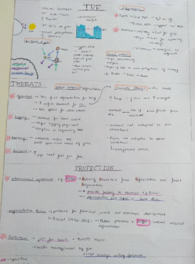 GeogHurlingham's tweet photo. Year 9 continue to revise for their upcoming assessment on biomes. Lovely examples here from Arya and Danna - well done! @TheHurlinghamAc #homelearning #studentwork #Year9 #biomes #ecosystems #tropicalrainforest #taiga #revision https://t.co/czk43nHia8
