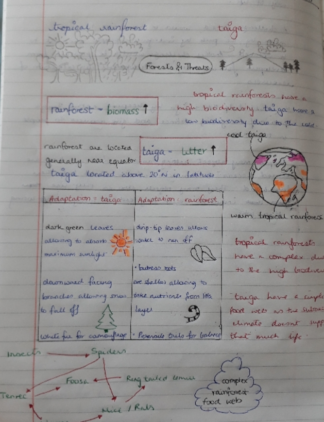 GeogHurlingham's tweet photo. Year 9 continue to revise for their upcoming assessment on biomes. Lovely examples here from Arya and Danna - well done! @TheHurlinghamAc #homelearning #studentwork #Year9 #biomes #ecosystems #tropicalrainforest #taiga #revision https://t.co/czk43nHia8