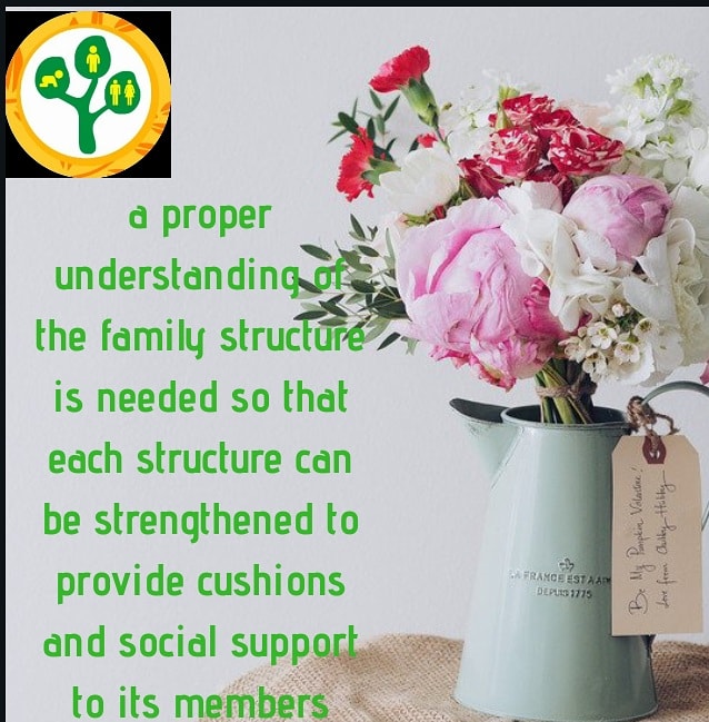 cicdngo's tweet image. A proper understanding of the family structure is needed so that each structure can be strengthened to provide cushions and social support for its members

#socialsupport #cushion #familystructure #family #cidcngo #theraphy
