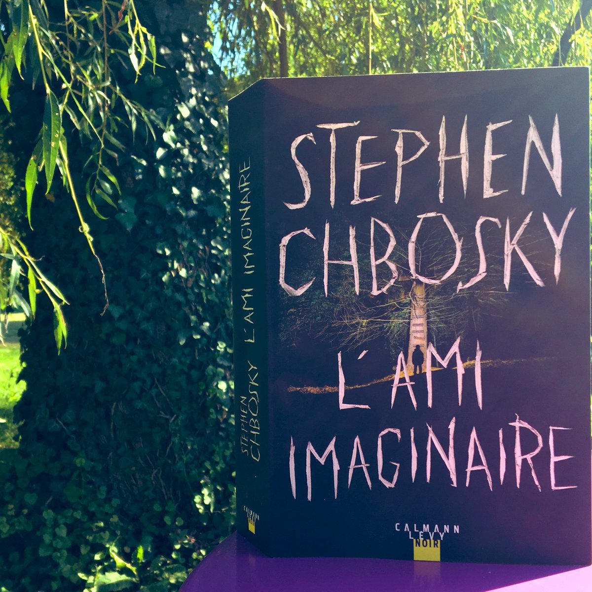 booksattitude's tweet photo. [•NOUVELLE LECTURE ☀️•] #Lamiimaginaire de @StephenChbosky chez @calmann_levy. Dès l’annonce de sa sortie, au vu du résumé et sa couverture magnifique, je ne pouvais que me laisser tentée. J’en attends beaucoup 😈😁. https://t.co/neRrcxhN22