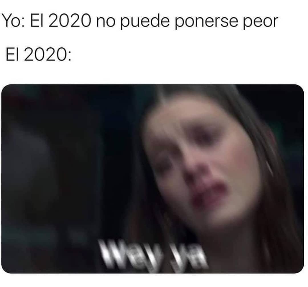 camiloerr's tweet image. 