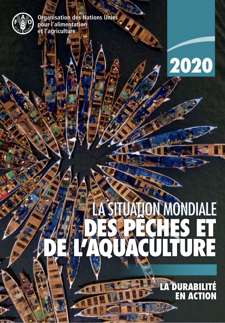 FAO West Africa tweet media