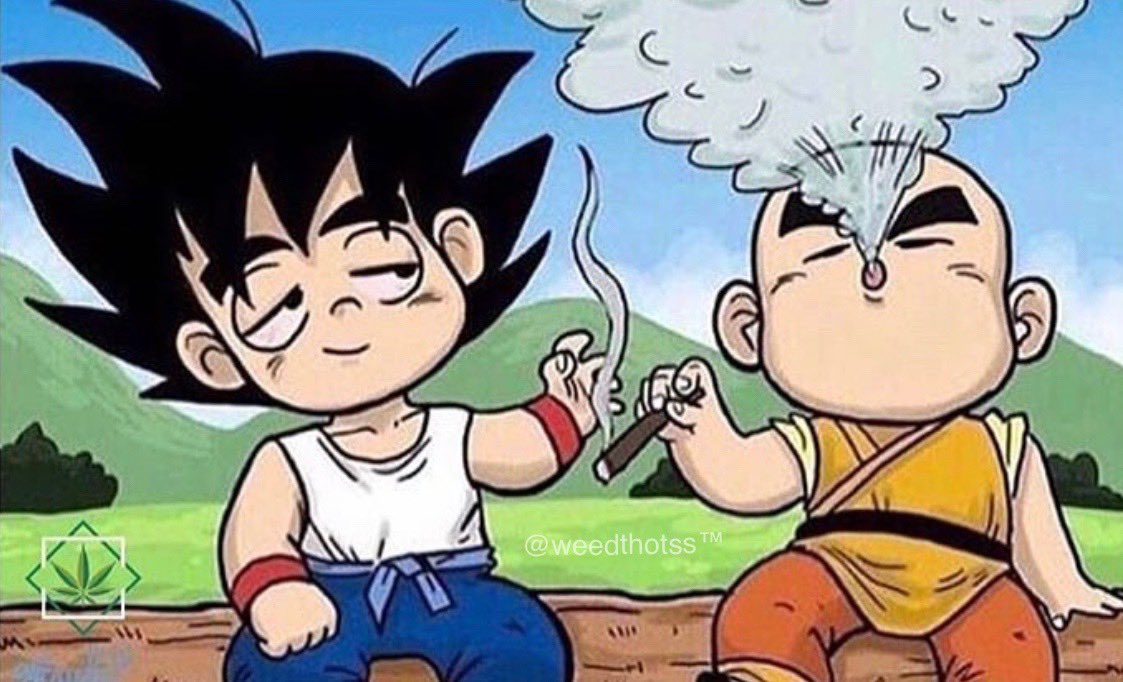 weedthotss's tweet photo. some of my best friendships started with a sesh https://t.co/CiZbwHRPCg