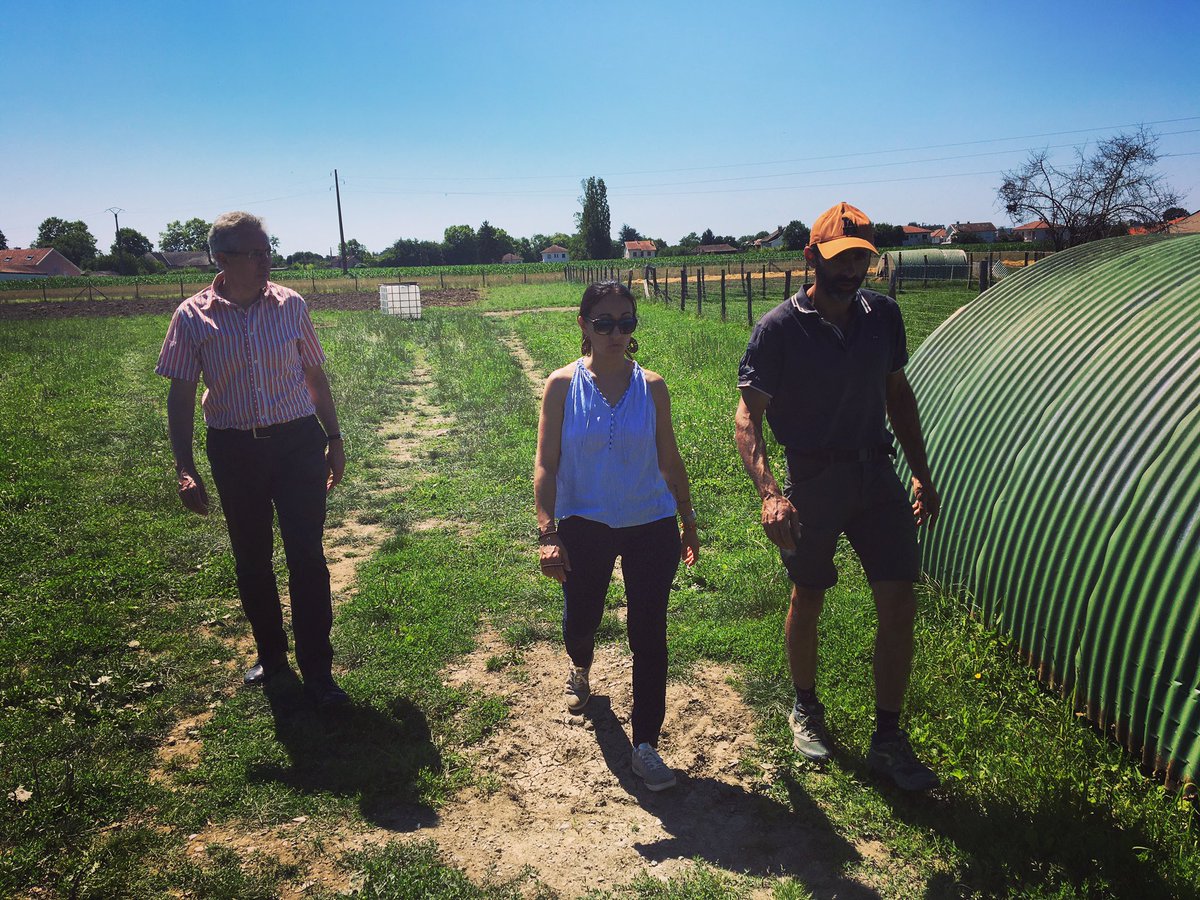 Vous le savez l’ #ecologie et les #circuitscourts sont parmi les priorités du projet #MyriamMendez2020 🌴 <a href="/MendesMyriam2/">Myriam Mendez</a> et <a href="/PierreLagonelle/">Pierre Lagonelle</a> cet après-midi à la ferme deth Bosc. Réflexions partagées sur ceinture maraîchère, qualité alimentaire et développement circuits courts