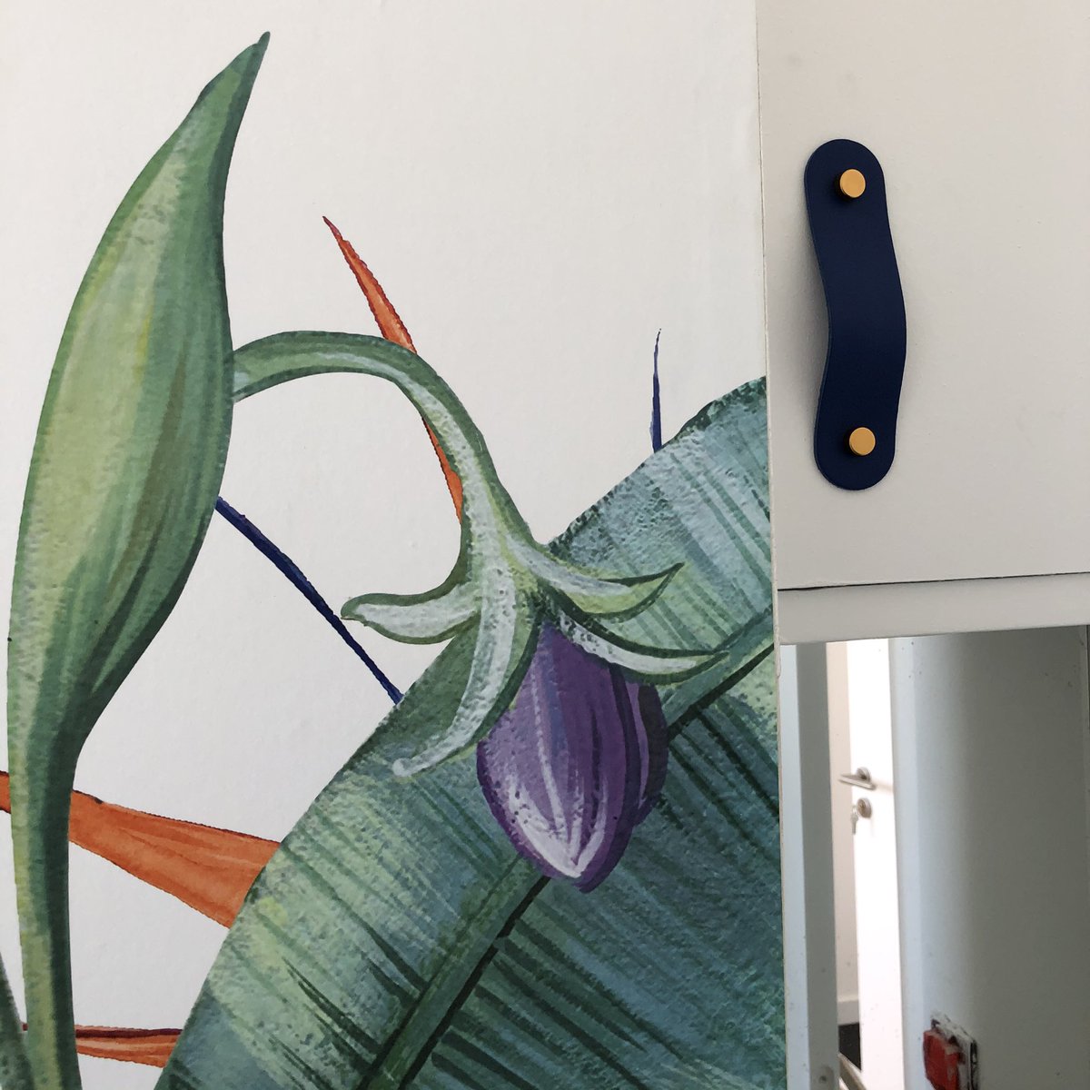 Un petit coin du Jardin à découvrir !