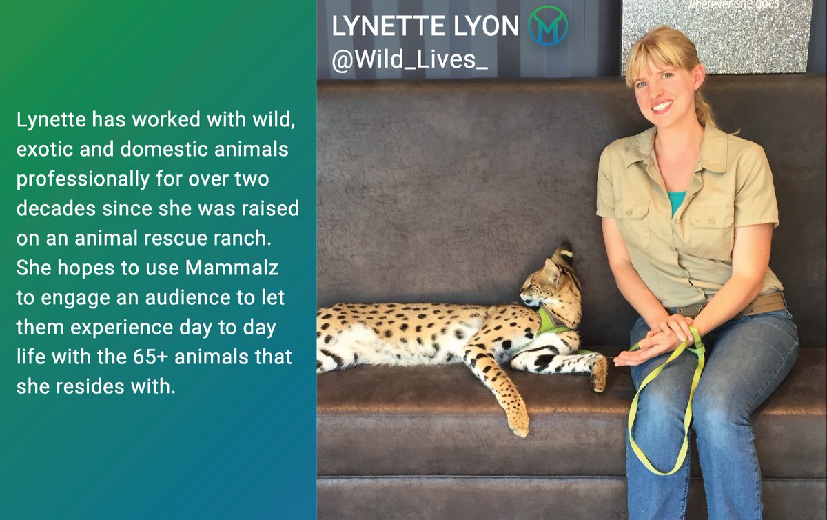 mammalzpbc's tweet image. Get an inside look at an array of unique animals with Lynette Lyon on Mammalz! 🤗 Don't miss out as she takes you on her day to day adventures with the 65+ animals she resides with! 😍
#Mammalz #WeAreMammalz #ContentCreator #TuesdayMotivation