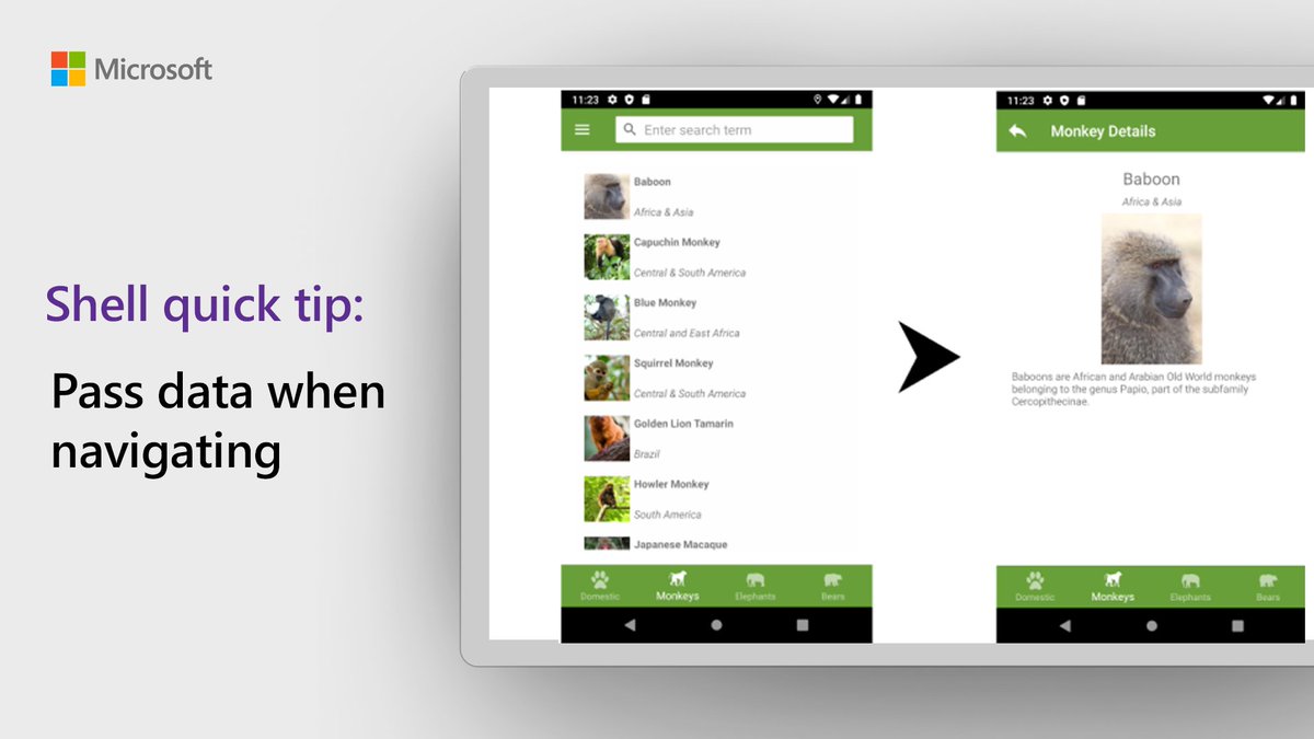 Image of how mobile screens display using data passed through Xamarin.
