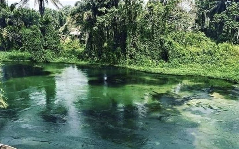 Haki_Shakur's tweet photo. #AzuminiRiver The beautiful ancestral land of Biafra particularly this is in Abia state let’s take our minds there and then physically we shall return Iseee! #biafra #azumini #ancestralland #abia #BiafransLivesMatters #BiafraReferendum #IPOB #Biafragenocide #Biafrans #Igbo https://t.co/lLN7UhU5iy