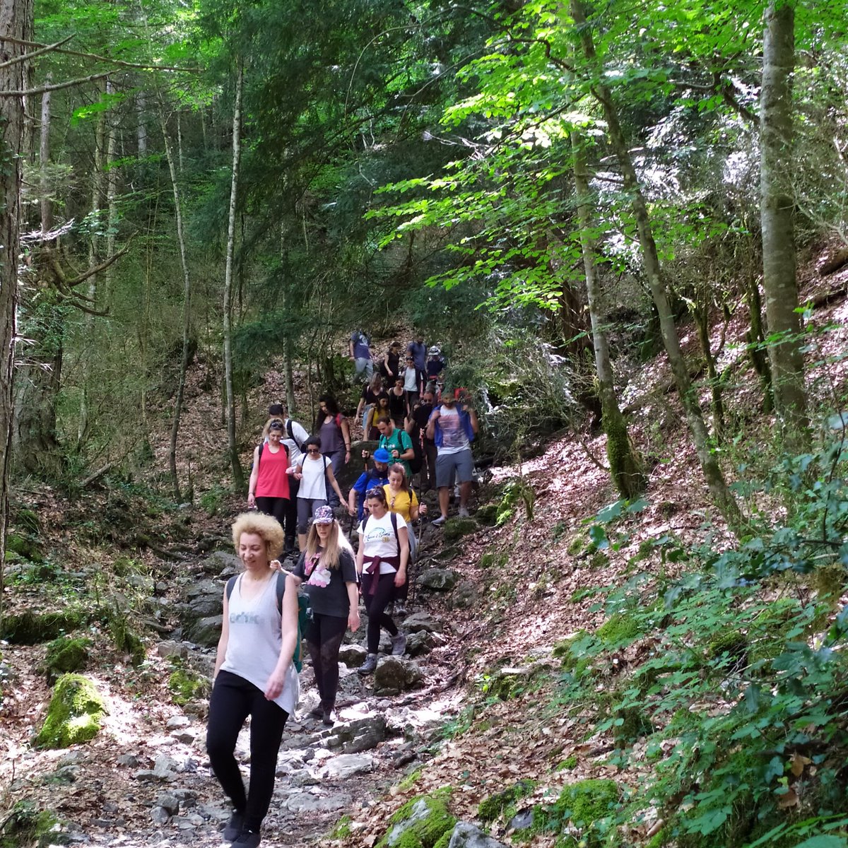 #traceyoureco #neverstopexploring #hikingadventures #mountain #OLYMPUS #verymacedonia #outdoors #action #activities #nature #travelphotography #Summer2020 #friends #trekking #VisitGreece #Greenwood #experience #Routes #Greece