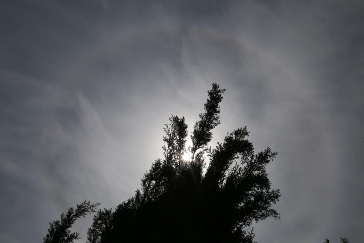 MilenioHidalgo's tweet photo. Luego del sismo registrado esta mañana, el cual se sintió en gran parte del estado de Hidalgo, en #Pachuca se logra ver este efecto natural en el cielo.
Fotos 📸: Jorge Sánchez / MILENIO https://t.co/4foTGiaefA
