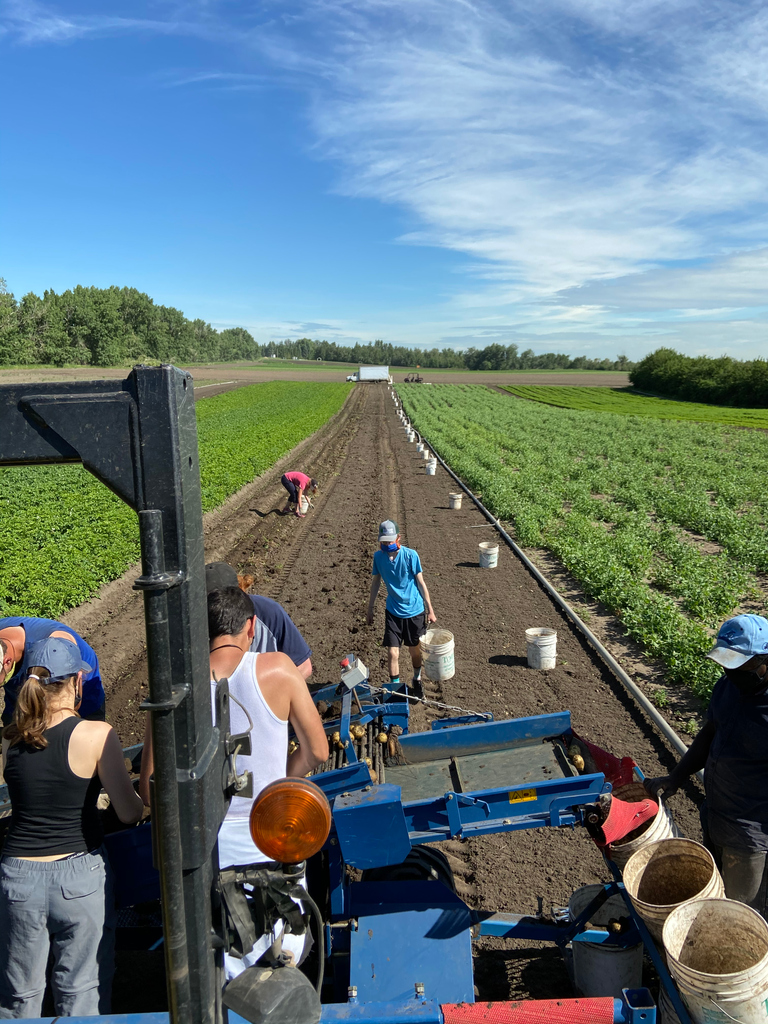 Rainbow Acres (rainbowacrefarm) Twitter