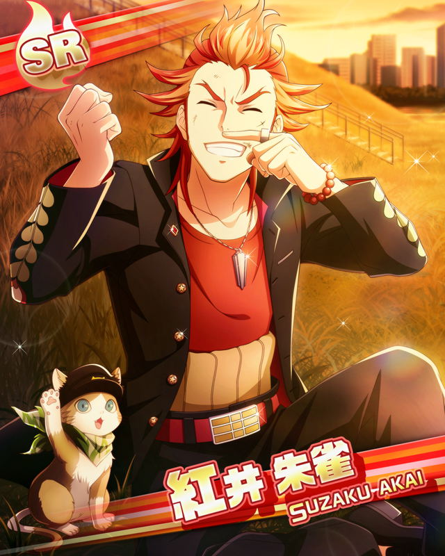 suzaku akai: cat doughnuts